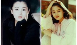 陈红年轻爆料视频播放在线观看,揭秘昔日女神的青春岁月